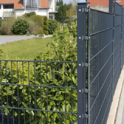 Doppelstabmatten 2D 8/6/8